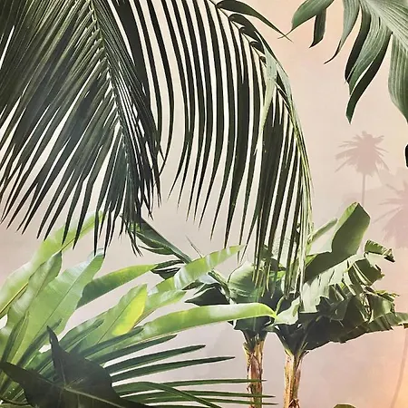 Jungle Mit Balkon I Parkplatz I Zentrum 아파트 켐프텐